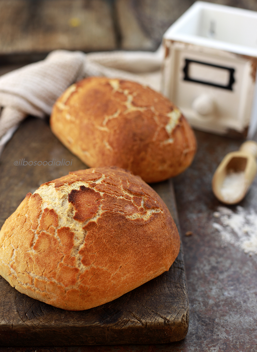 dutch crunch bread l.a. dutch crunch bread l.a.